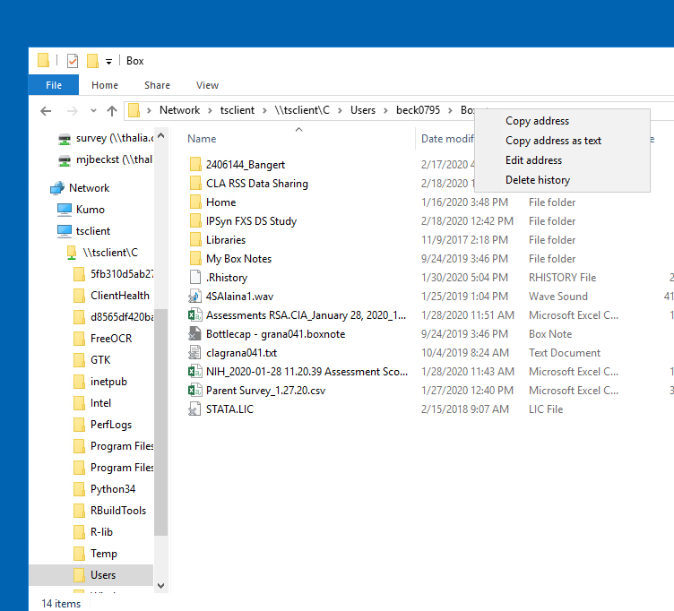 Image showing File Explorer copying address as text
